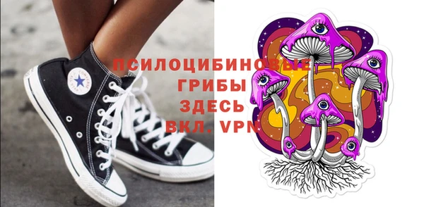 MDMA Новодвинск